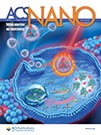 acs-nano-2022-cover.jpg